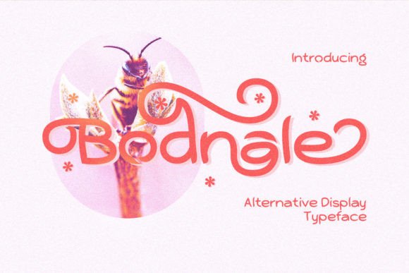 Bodnale Font: Quirky Elegance for Digital Marketing