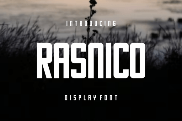 Rasnico Font: Elevating Editorial Design with Bold Display Type